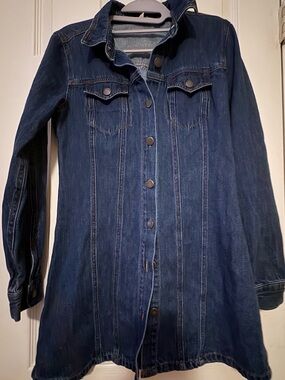 Life in progress denim dress